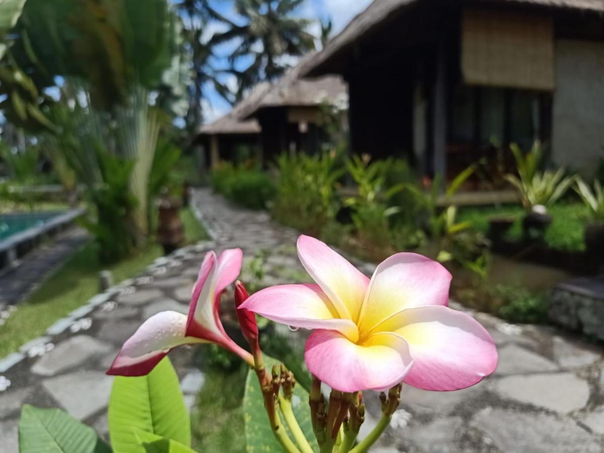 Taman Bintang Villa Ubud Eksteriør billede