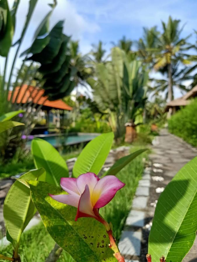 Taman Bintang Villa Ubud Eksteriør billede