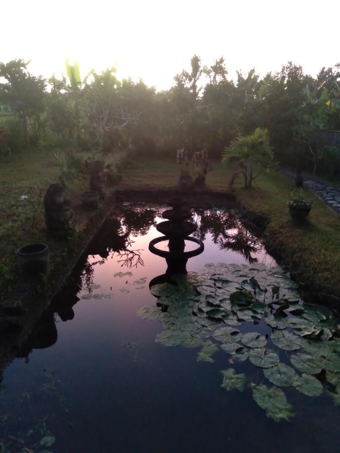 Taman Bintang Villa Ubud Eksteriør billede