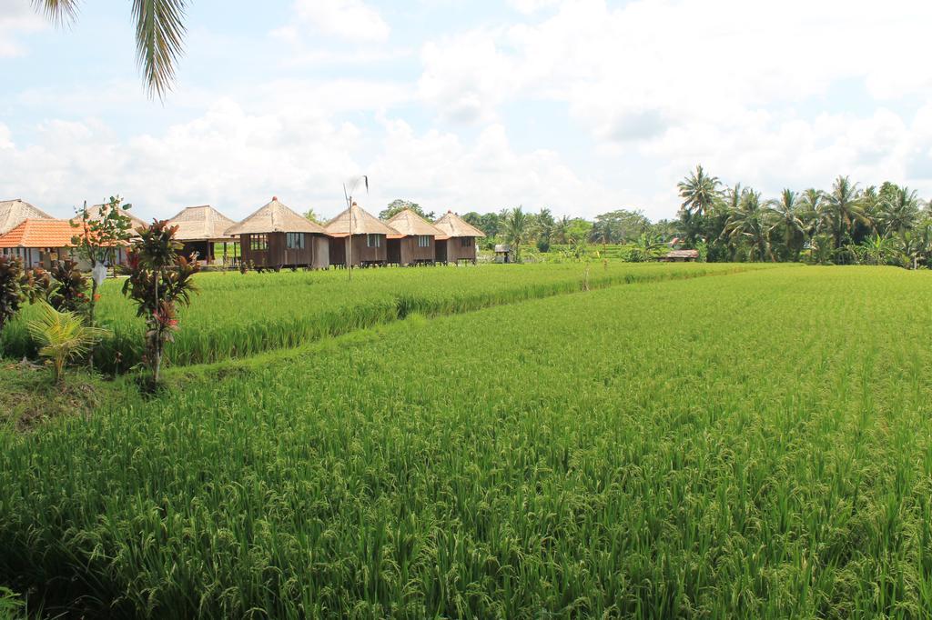 Taman Bintang Villa Ubud Eksteriør billede